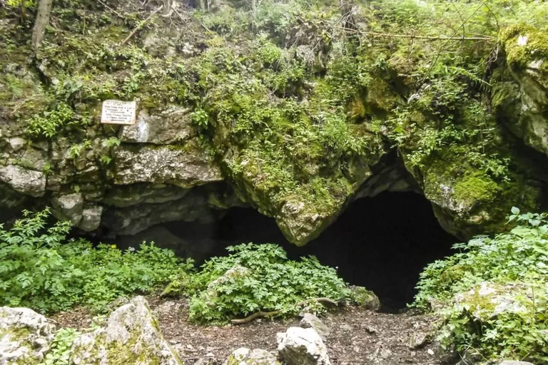 Brașov: Milk Cave Guided Tour with Postăvarul Hut Visit
