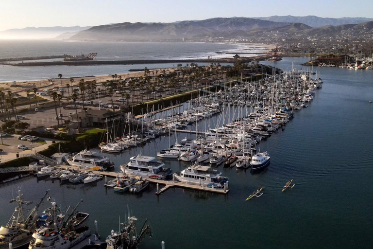From Orange County: Channel Islands Private Day Tour