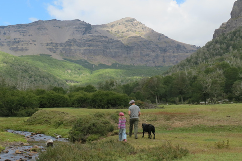 San Martín de los Andes: Half-Day Tour to the Mallin Grande