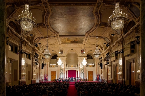 Wiedeń: bilety na koncert orkiestry Vienna Hofburg OrchestraKoncert noworoczny w pałacu Liechtensteinów: kategoria 3