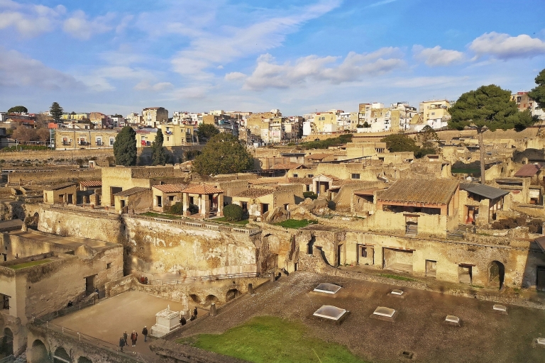 Nápoles: excursión de un día a Herculano y Vesubio