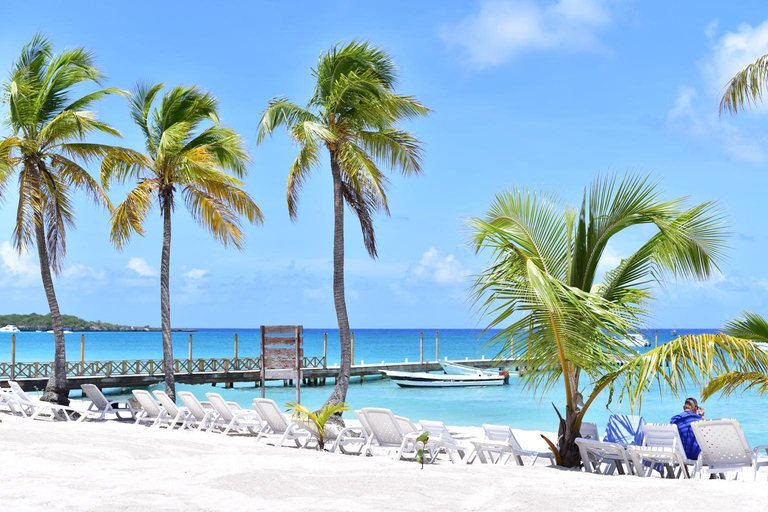 Punta Cana: Saona without the Crowds – 4-Beach Speedboat Sightseeing Tour and Lunch