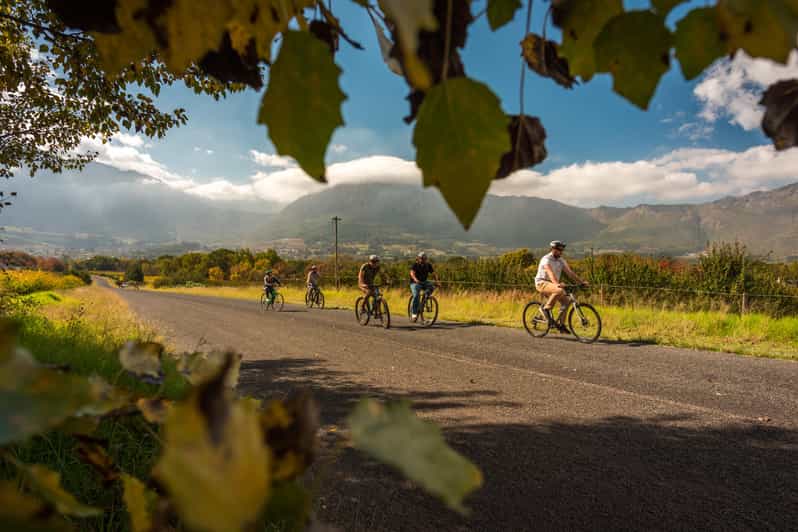 Franschhoek Private Ebike Ride & Wine Experience GetYourGuide
