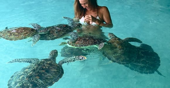 Jozani Forest Monkeys & Salaam Cave Turtles with Lunch
