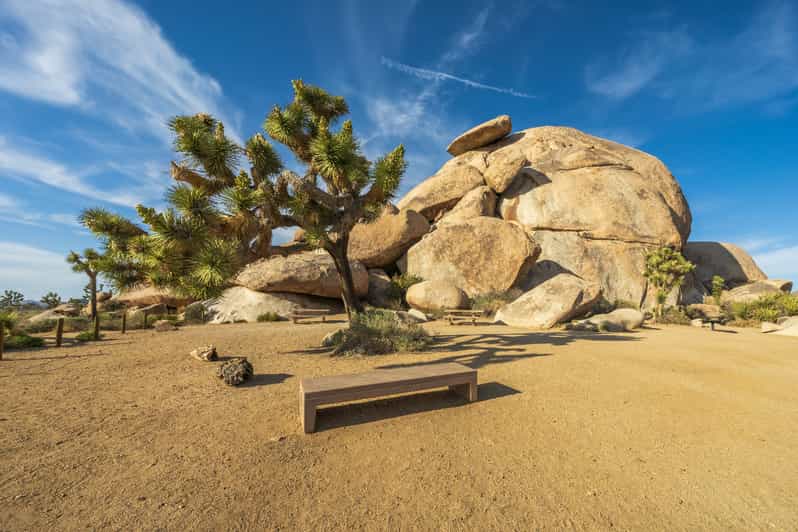 Joshua Tree: Keys View Iconic Driving Tour | GetYourGuide