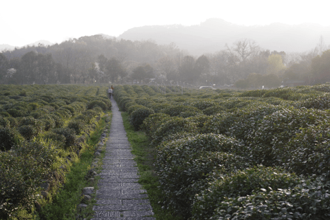 Hangzhou West Lake Bike Tour: Temple, Tea Field, Sunset Ride