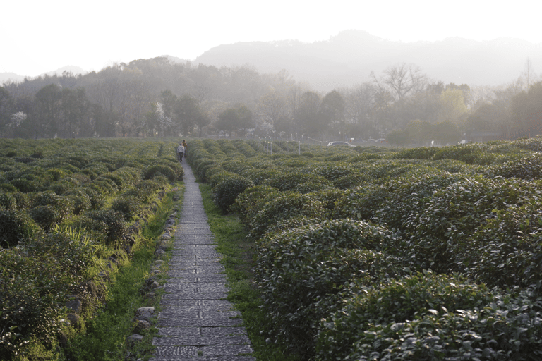 Hangzhou West Lake Bike Tour: Temple, Tea Field, Sunset Ride