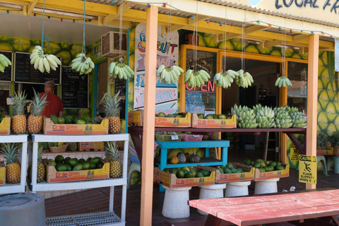 From Oahu: Kauai Waimea Canyon and Koke'e Adventure Tour