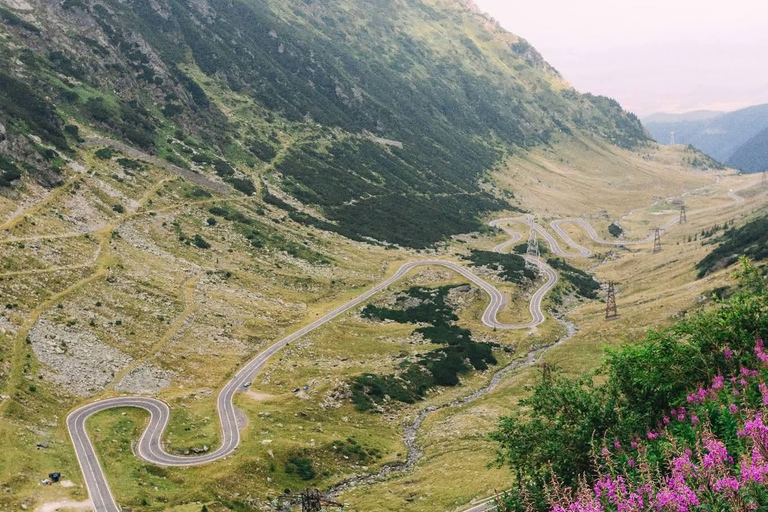 Transfagarasan Drive & Wild Bear Experience from Brasov