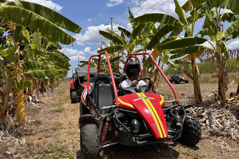 Bamboo Dune Buggy Tour