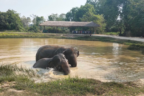 Siem Reap: Bonteay Srei & Elephant Sanctuary Private Tour Bonteay Srei Temple & Elephant Sanctuary Private Tour by Van