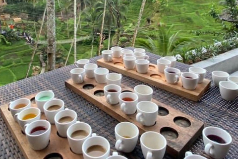 Ubud: Foresta delle scimmie, terrazze di riso, tempio e cascata PetanuUbud: Foresta delle scimmie, terrazze di riso, tempio e cascata di Petanu