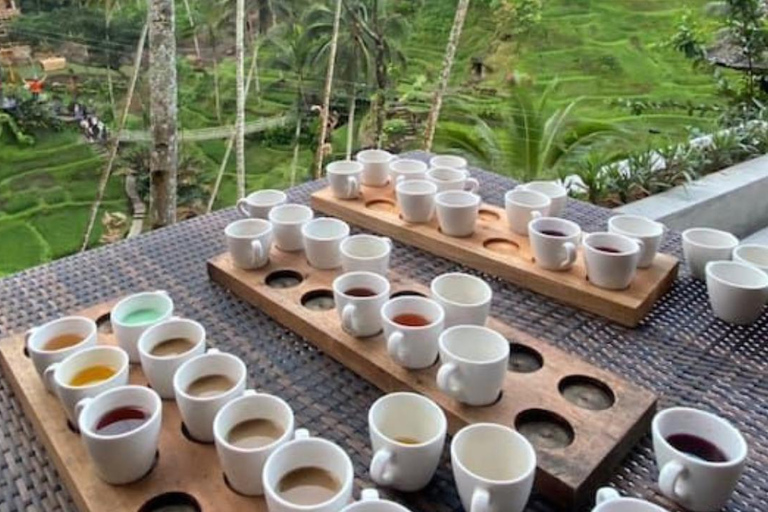 Ubud: Foresta delle scimmie, terrazze di riso, tempio e cascata PetanuUbud: Foresta delle scimmie, terrazze di riso, tempio e cascata di Petanu