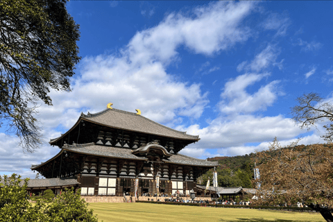 Private tour of Nara with an English/Spanish-speaking Guide