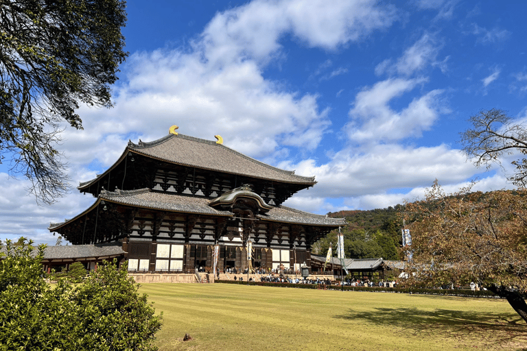 Visite privée de Nara avec un guide anglophone/espagnol