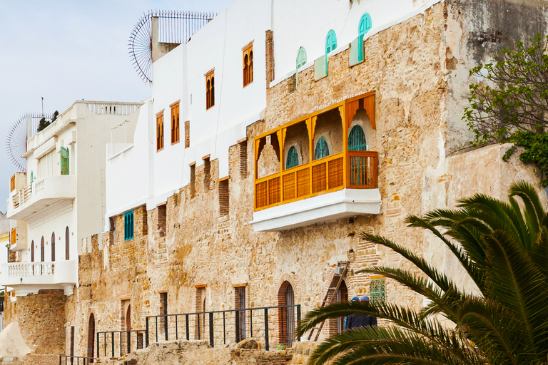 Tangier Private Half-Day Tour + Camel Ride + Add-on: Lunch