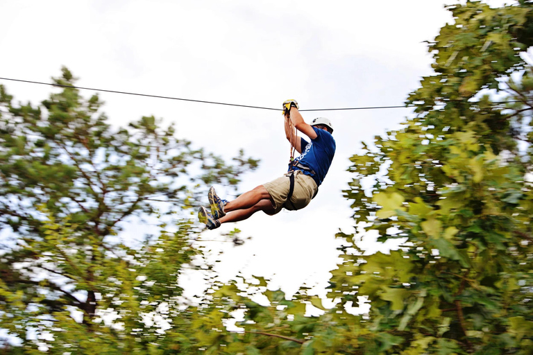 Dallas: Zipline and Sky Bridge Adventure Tour