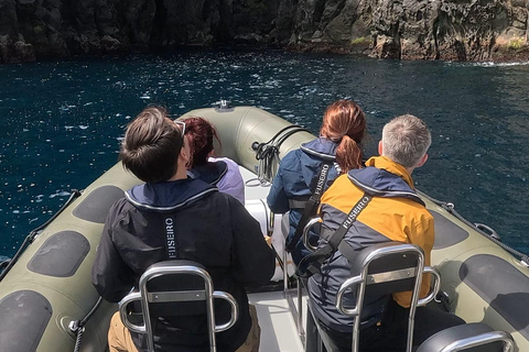 圣米格尔岛：火山奇观、洞穴与历史游船之旅