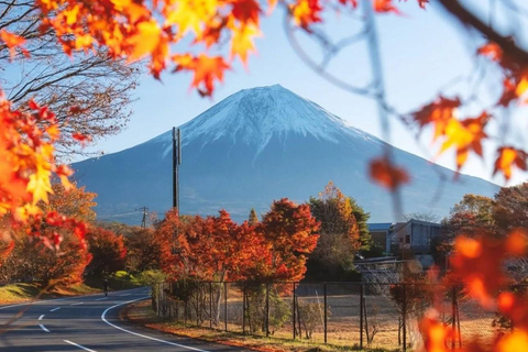 Tokyo: Mt. Fuji & Gotemba Premium Outlets Private Day Tour