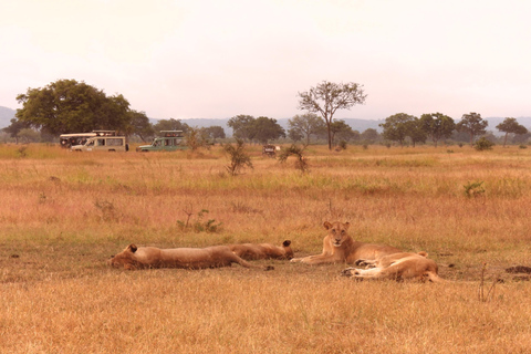 6 Days Tanzanian Safari Serengeti Wonders & Crater Magic