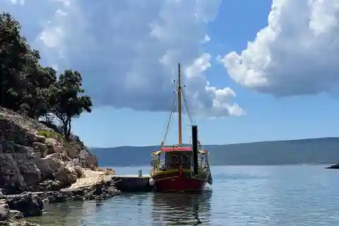 Golden Beach & crociera all'isola di Plavnik, picnic con grigliata opzionale