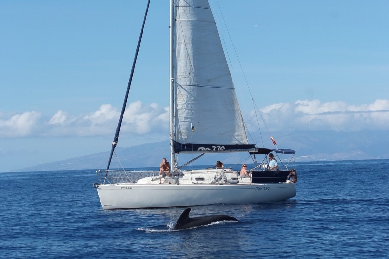 Tenerife : 3 heures de yacht privé avec observation des baleines et des dauphins