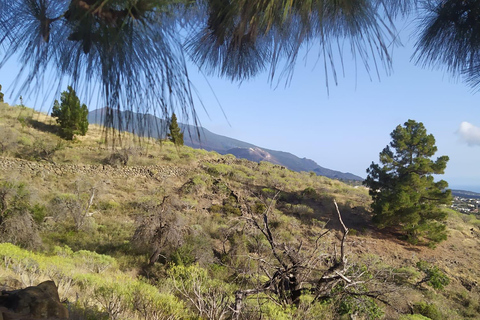 El Paso: Peña del Diablo Guided Walking Tour