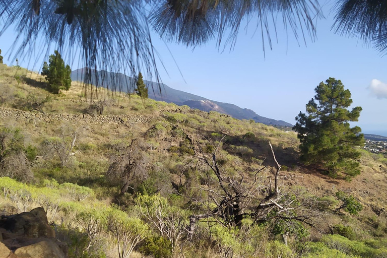 El Paso: Peña del Diablo Guided Walking Tour