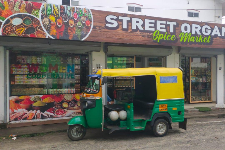 Kochi: Sightseeing Tuk-Tuk Tour With Pickup From Cruise Ship