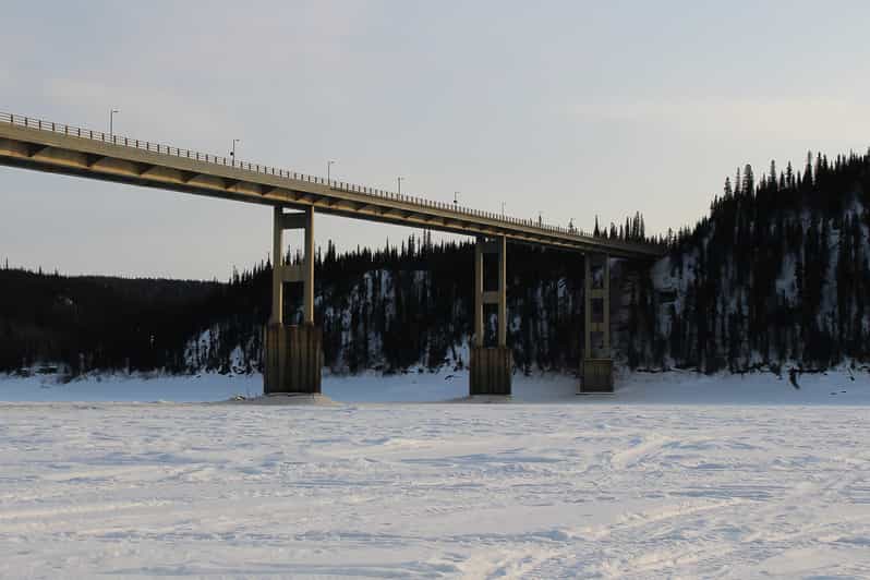 From Fairbanks Arctic Circle FullDay Guided Trip GetYourGuide