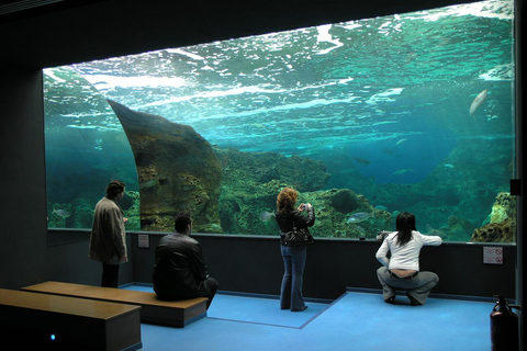 Au départ de Réthymnon : visite privée du parc Dinosauria et du CretaquariumDe Rethymno, Adele, Pigianos Kampos, Platanias et Missiria