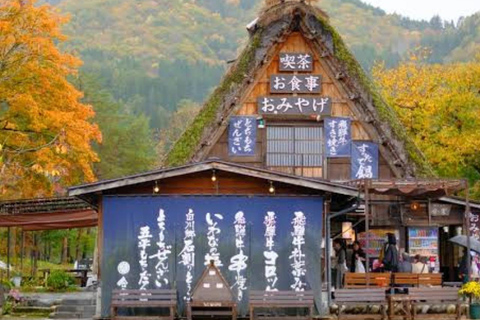 Tokyo: Hida Takayama & Shirakawa-go Day Trip with Guide