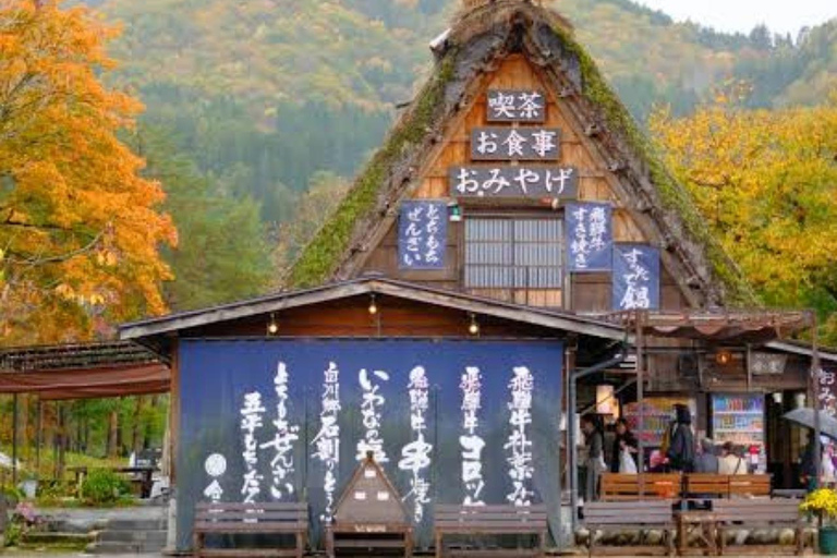 Tokyo: Hida Takayama & Shirakawa-go Day Trip with Guide