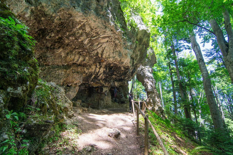 From Brașov: Piatra Craiului National Park Guided Hike