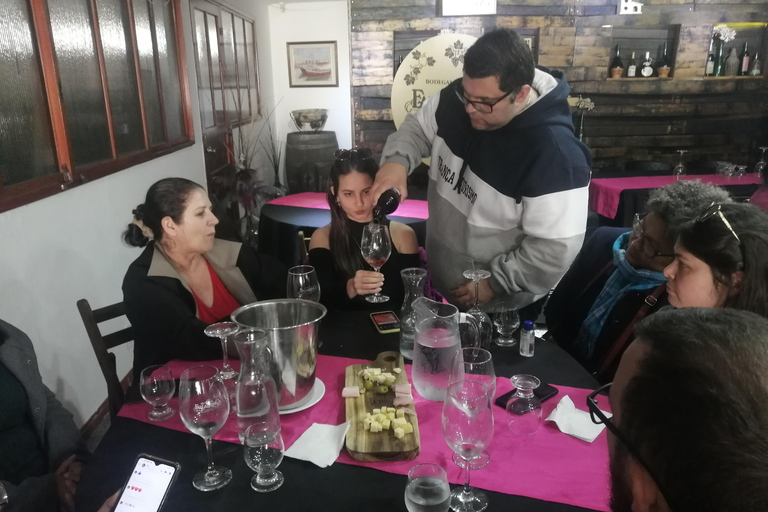Montevideo: Tour of a century-old urban winery and tasting of 6 wines