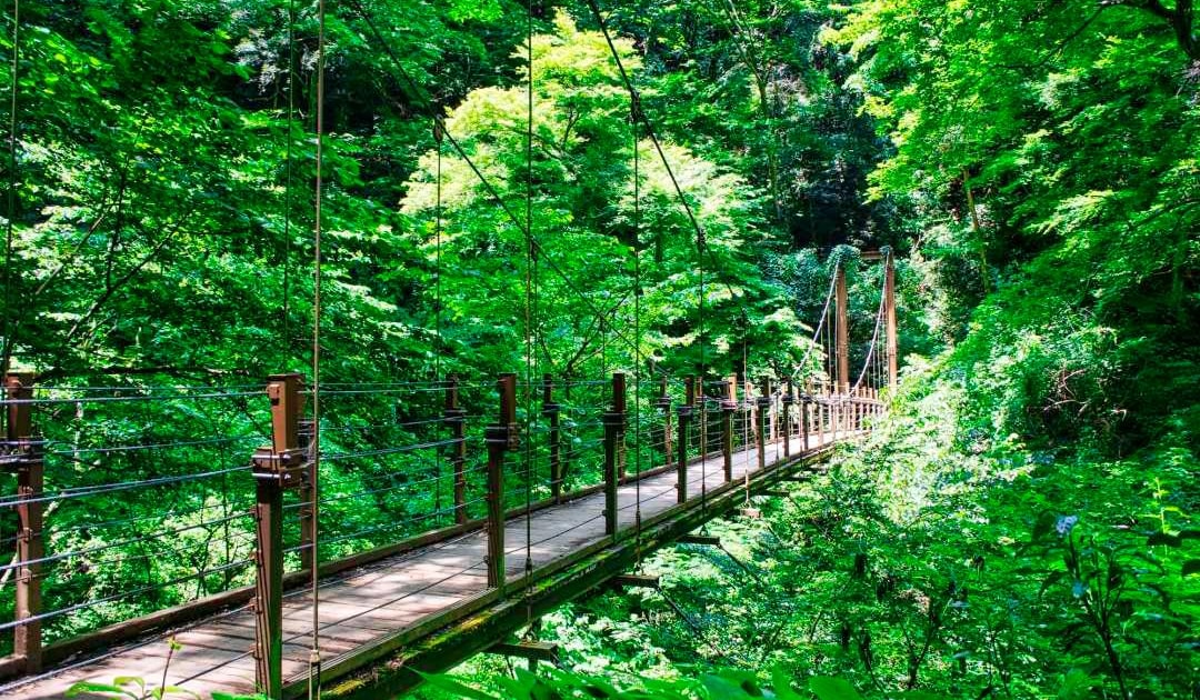 Mont Inari Kyoto Depuis Tokyo : excursion privée au mont Takao et au lac Sagami - 2026 ...