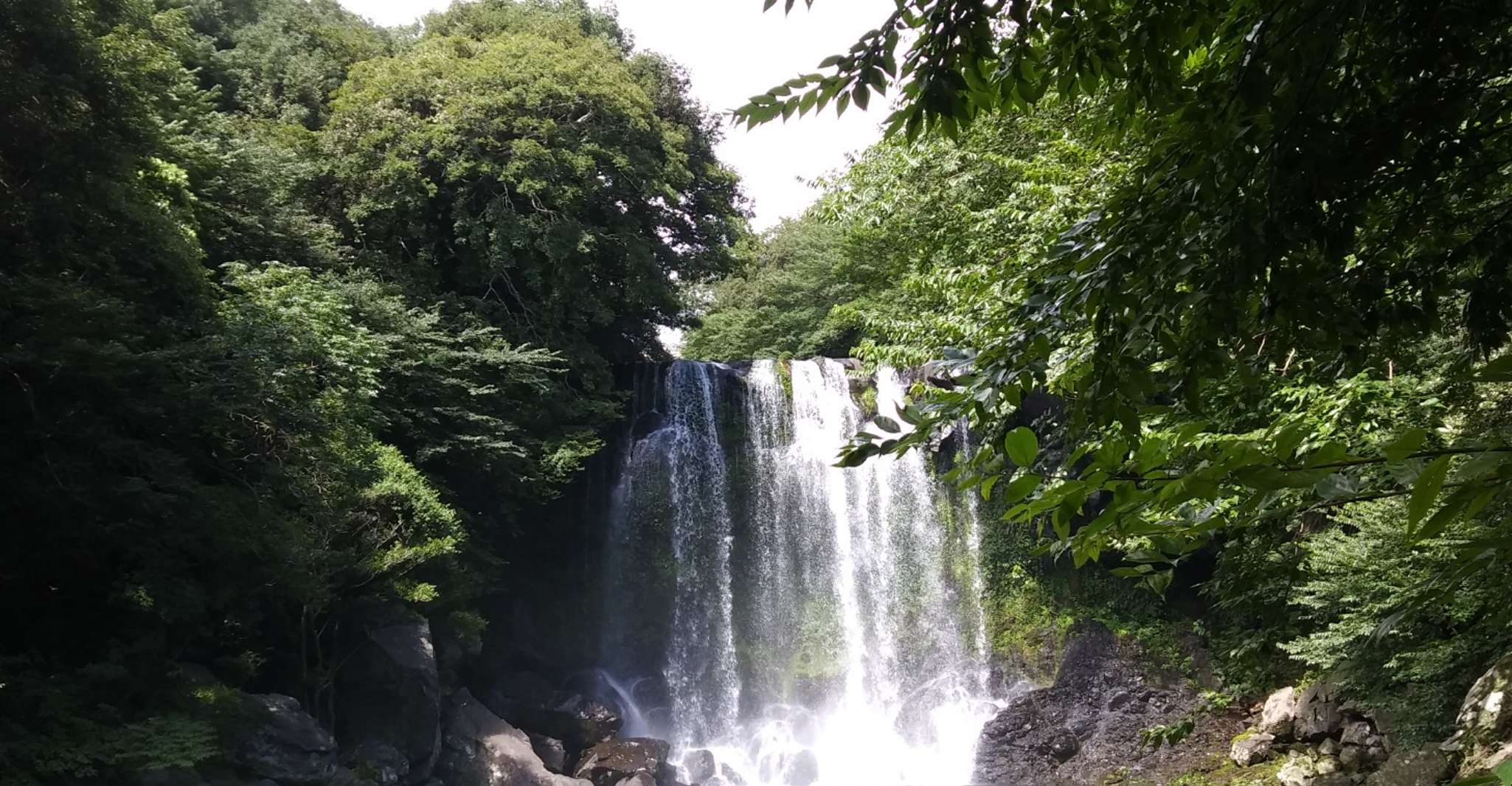 Jeju, private trip by a certificated driving guide and a van - Housity