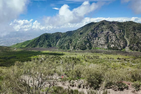 Rome: Vesuvius, Pompeii or Herculaneum by High-speed Train Pompeii Spanish Guided Tour & Vesuvio Entry ticket