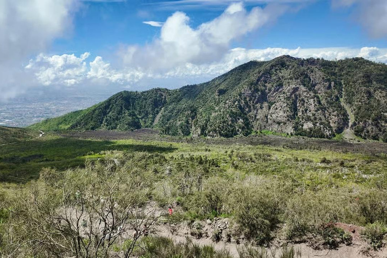 Rome: Vesuvius, Pompeii or Herculaneum by High-speed Train Pompeii Spanish Guided Tour & Vesuvio Entry ticket