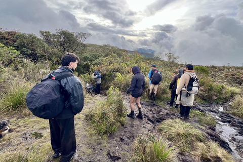 The Route of Water and Mist: Páramo Trek in Cruz Verde