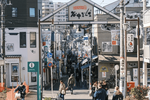 Tokyo: Old Tokyo Walk with Yanaka Retro Street & Nezu Shrine