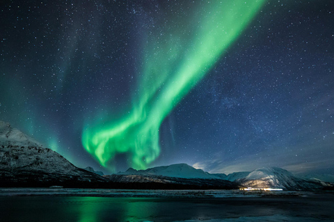 Desde Tromsø: Excursión nocturna de auroras boreales y avistamiento de ballenasDesde Tromsø: Excursión nocturna para ver auroras boreales y ballenas