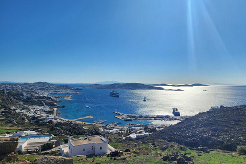 Best of Mykonos: 4-Hour Private Tour – Pickup Included