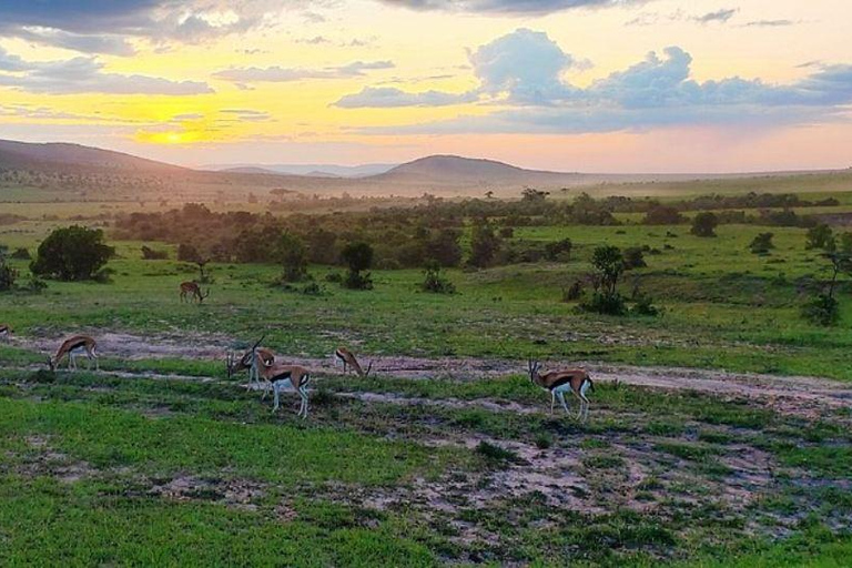 3-Day 2-Nights Maasai Mara Big 5 Safari All Inclusive