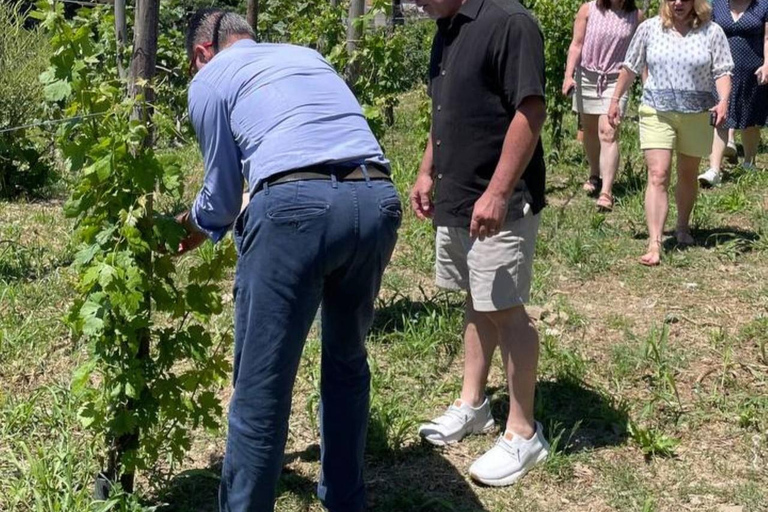 Positano: Cooking class and tasting with a view of Li Galli Positano: Cooking class and tasting with a view of the Li Galli