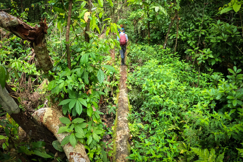 Experiencia completa en la selva