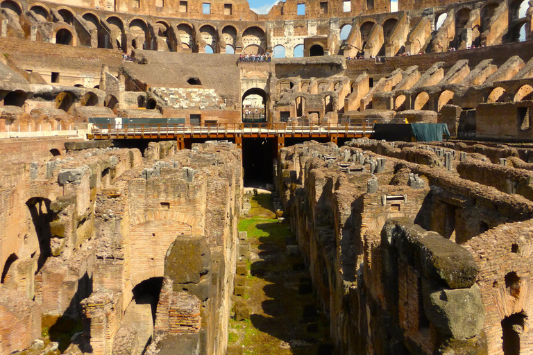 Colosseum: Guided tour of the Underground, Arena, Roman Forum, and Palatine Hill