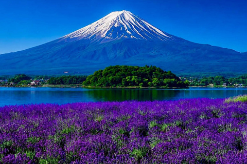 Tokyo: Mt Fuji Full-Day Private Tour of Top Best Places