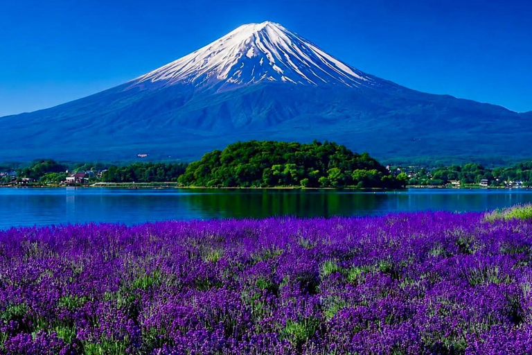 Tokyo: Mt Fuji Full-Day Private Tour of Top Best Places