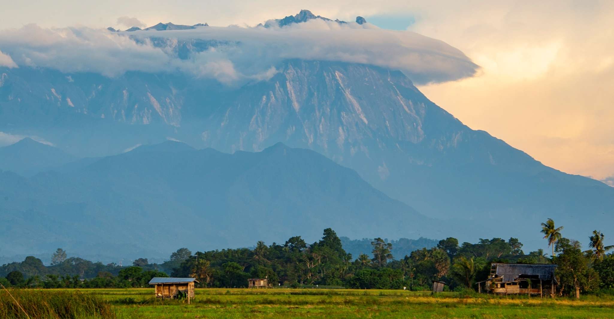 Da Kota Kinabalu, Kundasang Tour privato + Primavera calda - Hizvo